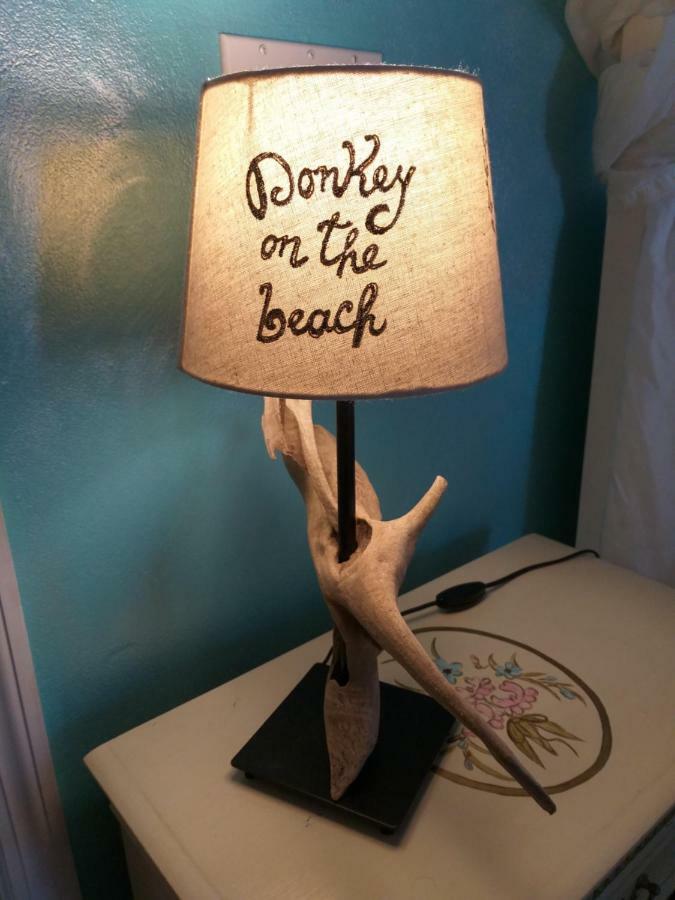 Donkey On The Beach Cobbs Cross Exteriér fotografie